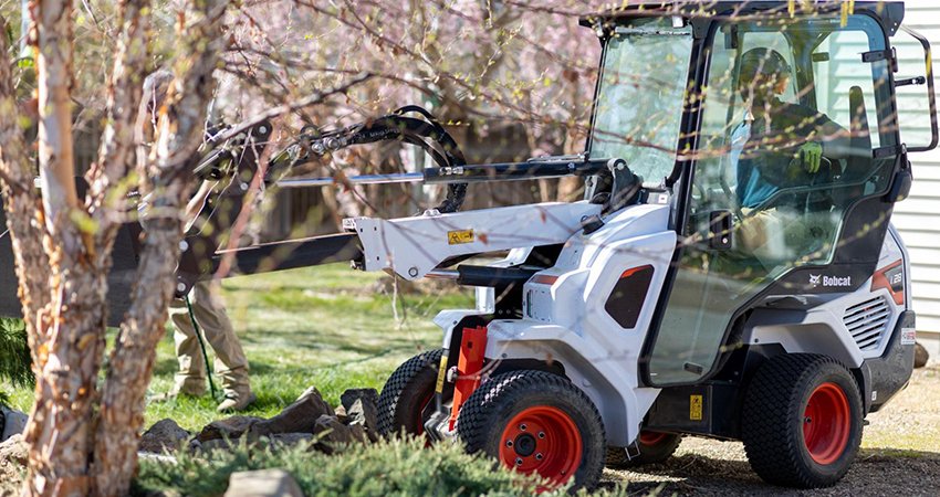 Landscape with Bobcat